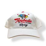 Load image into Gallery viewer, VINTAGE RAYBESTOS RACING 1990’S BASEBALL HAT
